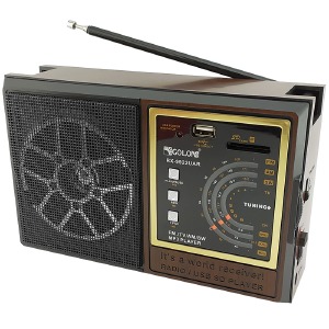 Радиоприемник аналоговый Golon RX-9922+USB черно-коричневый 22х14х8см - фото