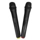Колонка чемодан BT-150D 2 беспроводных микрофона/BT/USB/TF/AUX/FM/эквалайзер/разъем для гитары/пульт 68x44x38 см - фото 2