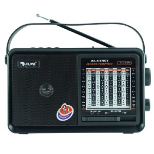 Радиоприемник аналоговый Golon RX-2161BTS от сети/аккумулятор/разъем для батареек/фонарик/BT/USB/SD/солнечная панель 22х13х8 микс - фото