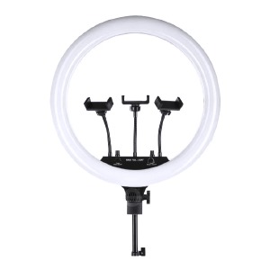 Кольцевая LED-селфи лампа 45см с тремя держателями/без подставки+ пульт на проводе+блок питания (F450) - фото